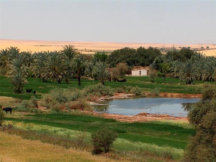 3887547a64a675-e047-4804-82a5-ddcfe4661eb4