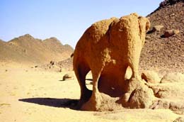 3887547a64a675-e047-4804-82a5-ddcfe4661eb4