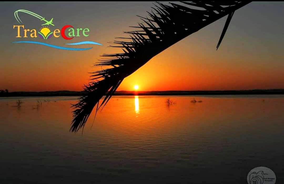 3887547a64a675-e047-4804-82a5-ddcfe4661eb4