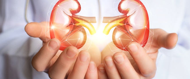 3887547a64a675-e047-4804-82a5-ddcfe4661eb4