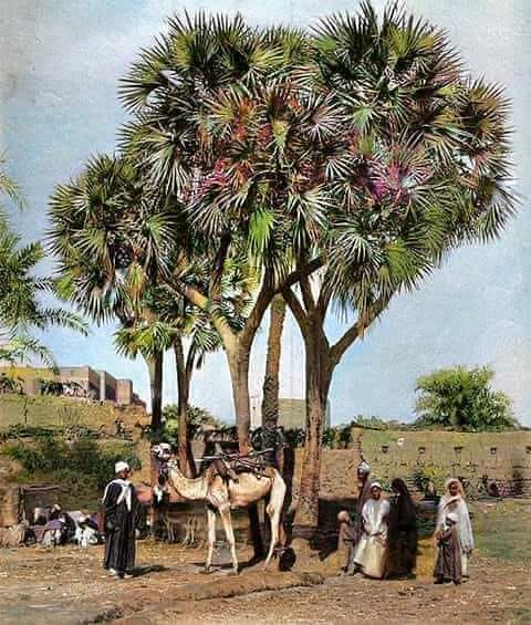 3887547a64a675-e047-4804-82a5-ddcfe4661eb4