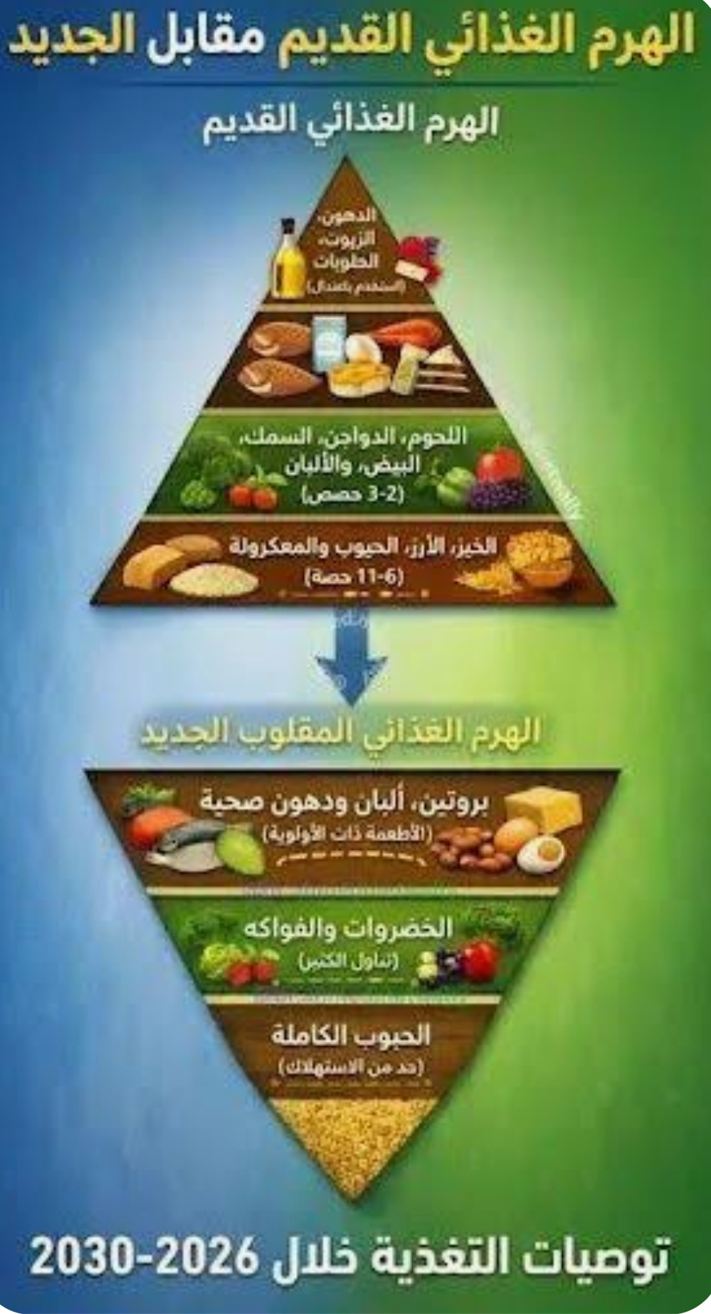 الهرم الغذائي الجديد 2026: ماذا تغيّر وكيف نفهمه؟