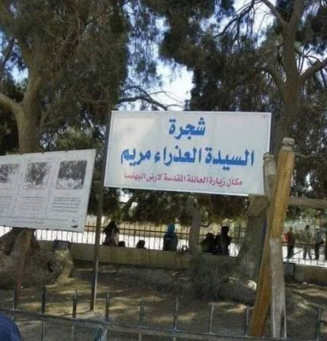 البهنسا "بقيع مصر" وأرض الشهداء  أسرار المدينة التي لا تنام